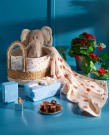 Born To Be Adored Gift Hamper